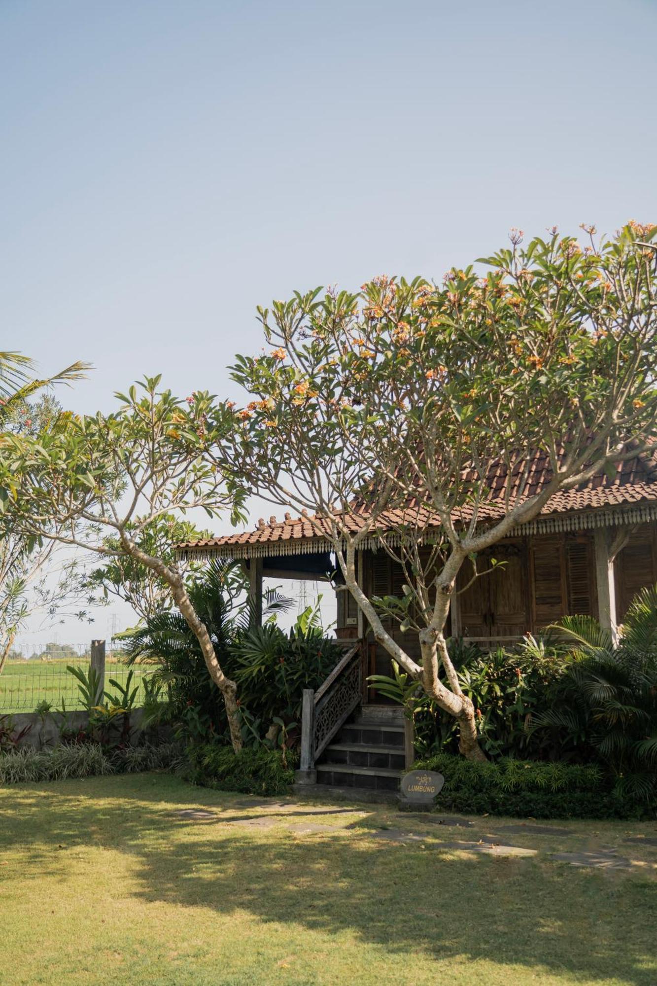 Aswanaya Villas Ubud Exteriér fotografie